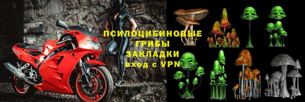 гидропоника Алзамай