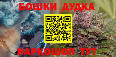 шишки Заводоуковск