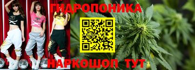 шишки Заводоуковск