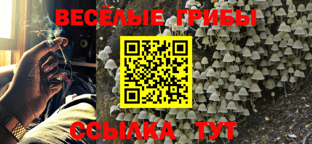 Галлюциногенные грибы GOLDEN TEACHER  купить закладку  Галлюциногенные грибы мицелий  Михайловск  Вход с VPN 